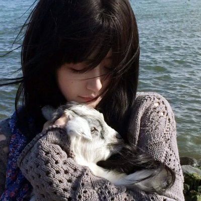艾莉塔:战斗天使